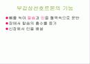 부갑상선장애의 식이관리 파워포인트 3페이지