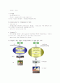 디지털방송과 아날로그방송의 비교 (2007년HDTV중심으로) 4페이지
