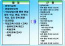 이주여성을 위한 취업훈련 프로그램 ppt 12페이지