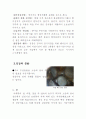 [식품]한국의 발효음식의 유래 11페이지