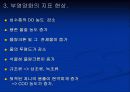 [환경공학]부영양화 원인과 대책 6페이지