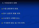 [환경공학]부영양화 원인과 대책 9페이지