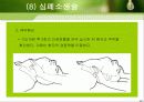 응급처치 22페이지