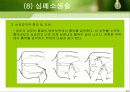 응급처치 23페이지