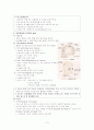 두부손상 2페이지