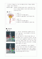 베르누이의 원리 실험 2페이지