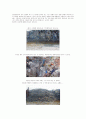 환경오염사례 조사와 고찰 8페이지