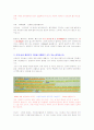 환경오염사례 조사와 고찰 15페이지