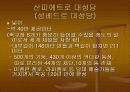 바 티 칸  PPT 자료 11페이지