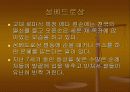 바 티 칸  PPT 자료 17페이지