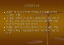 바 티 칸  PPT 자료 19페이지