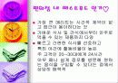 틈새시장 편의점 시장 11페이지