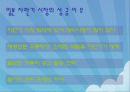 자동판매기 시장분석 11페이지