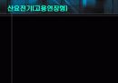 고령화 사회, 조기퇴직과 임금피크제 33페이지