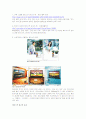 (광고심리) 2007년 광고의 정의와 기법, 소비자의 심리분석 및 실패사례 분석 레포트 10페이지