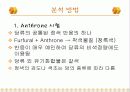 탄수화물 정성 분석 3페이지