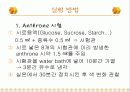 탄수화물 정성 분석 14페이지