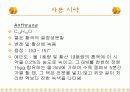 탄수화물 정성 분석 24페이지