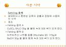 탄수화물 정성 분석 25페이지