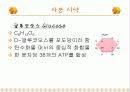 탄수화물 정성 분석 26페이지