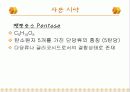 탄수화물 정성 분석 35페이지