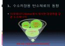 탄소재료를 이용한 수소저장 기술연구동향 13페이지