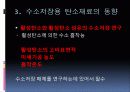 탄소재료를 이용한 수소저장 기술연구동향 16페이지