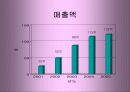부동산 114 (www. R114.co.kr) 성공전략 8페이지