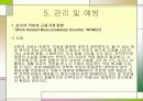 직업성 근골격계 질환 파워포인트 19페이지