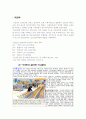 국내 대형할인점 시장현황과 토종/외국계업체 간의 전략비교분석 8페이지