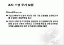 조직성장 ppt 12페이지