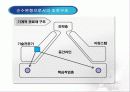 조직성장 ppt 25페이지