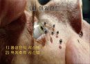 영화속의 HCI 41페이지