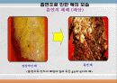 향정신성 약물(마약류)에대한 고찰 3페이지