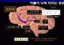 향정신성 약물(마약류)에대한 고찰 7페이지