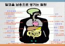 향정신성 약물(마약류)에대한 고찰 13페이지