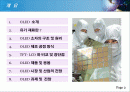 OLED 유기 발광 디스플레이 2페이지