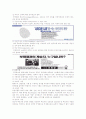 2007년 개념 및 종류, 내용, 유형, 표현기법, 사례, 장단점 등등 분석 레포트 5페이지