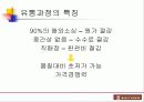 베이직 하우스 성공 전략 20페이지