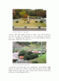 대학교 캠퍼스 정원 답사 10페이지