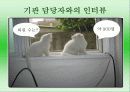 [노인복지기관] 시니어클럽 분석과 강남XX클럽 분석과 문제점 및 개선방안 제언 발표레포트 24페이지