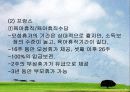 [여성복지] 일하는 여성의 실태와 가사노동의 어려움 및 직장여성을 위한 복지방안 22페이지