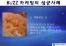 [입소문 체험 마케팅] 버즈마케팅에 대한 이해와 성공,실패사례 분석 18페이지
