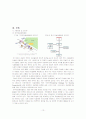 모방자살 12페이지