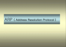 ARP ( Address Resolution Protocol ) 1페이지