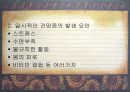 스트레스와 기억장애 12페이지
