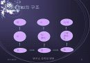 ETRI (한국전자통신연구원)조사 13페이지