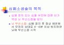 심폐소생술 6페이지