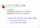 심폐소생술 46페이지