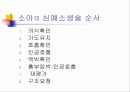 심폐소생술 47페이지